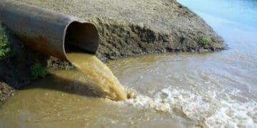 забруднення річки