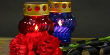 провідна неділя