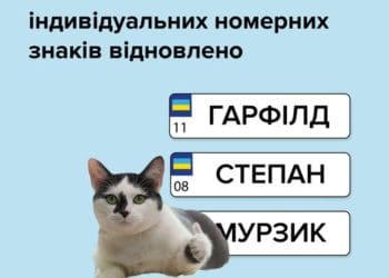 індивідуальні номерні знаки