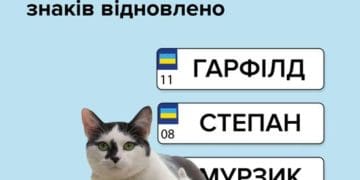 індивідуальні номерні знаки