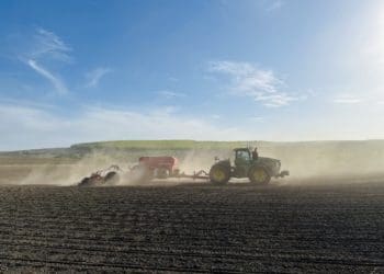 «Контінентал» завершив посів ярих культур та посадку картоплі