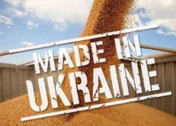 Україна відновила довоєнний експорт товарів: як це вдалося та скільки заробляємо