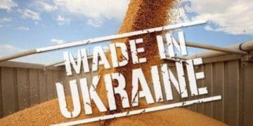 Україна відновила довоєнний експорт товарів: як це вдалося та скільки заробляємо