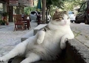 Галичина – це не територія. Галичина – це Галичина!