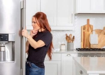 Намерзає морозилка в холодильнику Bosch No Frost: як її розморозити