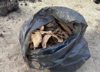 рештки у сміттєвому пакеті