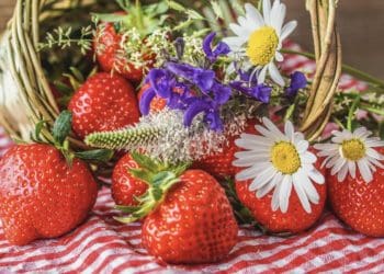 Якою буде погода у червні розповіли синоптики