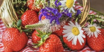 Якою буде погода у червні розповіли синоптики