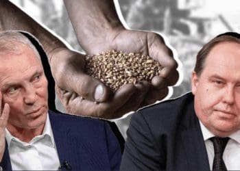 Скільки врожаю з окупації не зібрала Україна? Федеральна система «Зерно» в окупованій Херсонщині
