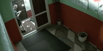 У Тернополі хуліган пошкодив майно у будинку, а відбувся штрафом на 51 грн