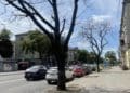 У Тернополі поменшає дерев