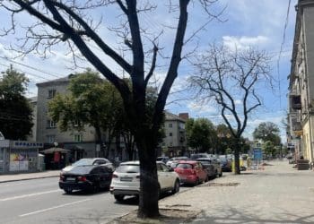 У Тернополі поменшає дерев