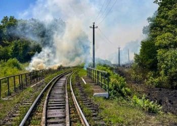 Півтора гектари лісу і колію рятували від вогню у Копичинцях