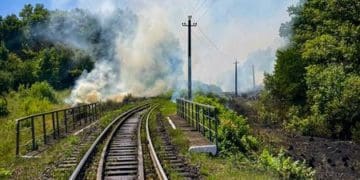 Півтора гектари лісу і колію рятували від вогню у Копичинцях