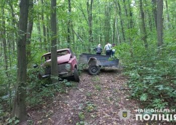 Загинув водій, який не впорався з керуванням на лісовій дорозі і врізався у дерево