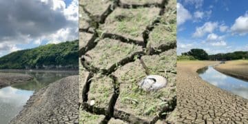 Від повноводних рік на Тернопільщині Збруч і Дністер залишилися маленькі струмочки