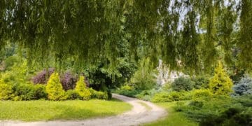 фотоконкурс