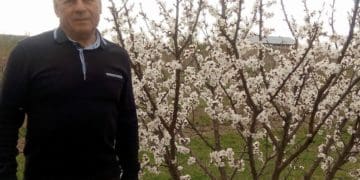 Помер Микола Павлик