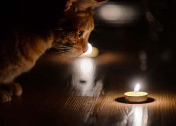 Графіки вимкнень електрики змінили в Тернопільській області на сьогодні