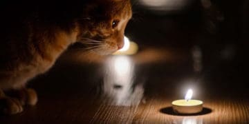 Графіки вимкнень електрики змінили в Тернопільській області на сьогодні