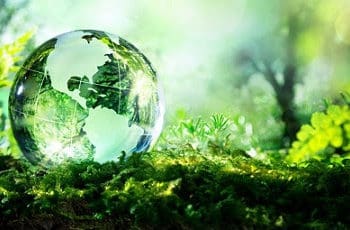 Західноукраїнський національний університет запрошує на навчання зі спеціальності «Екологія»