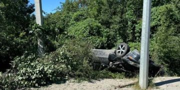 На Тернопільщині син не впорався з керуванням ф потрапив у ДТП, де загинув його батько