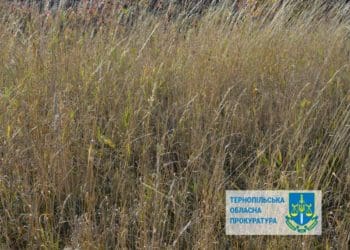 На Кременеччині землю заказника за мільярд віддали під сільськогосподарське призначення