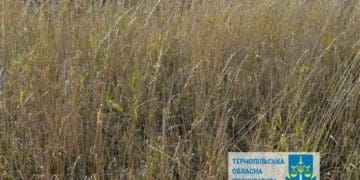 На Кременеччині землю заказника за мільярд віддали під сільськогосподарське призначення