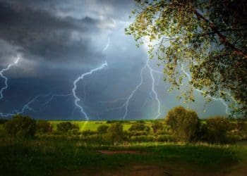 Штормове попередження оголосили на Тернопільщині