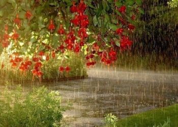 дощі і грози очікують на Тернопільщині у понеділок