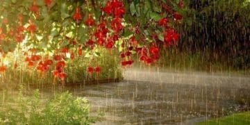 дощі і грози очікують на Тернопільщині у понеділок