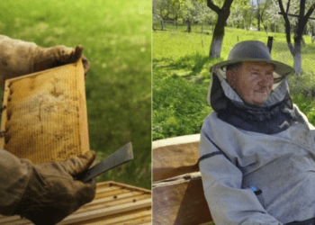 Бджоляр із Тернопільщини розповів про родинне ремесло