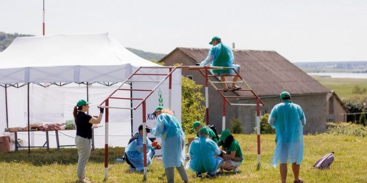 Об’єднані заради допомоги: «Контінентал» провів масштабну толоку у рамках корпоративного волонтерства на Тернопільщині