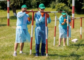 Об’єднані заради допомоги: «Контінентал» провів масштабну толоку у рамках корпоративного волонтерства на Тернопільщині