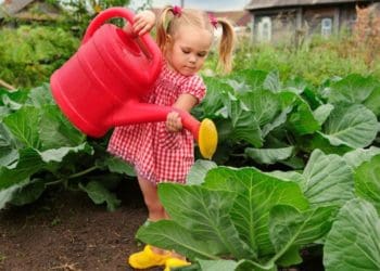 город полив