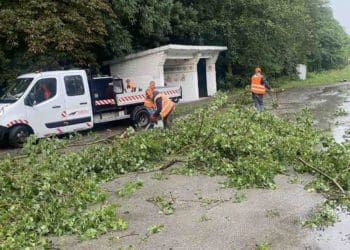 На Тернопільщині ліквідують наслідки негоди