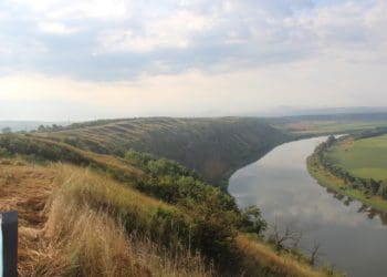 Тернопільщина туристична: Урочище Глоди – ботанічна пам’ятка природи загальнодержавного значення