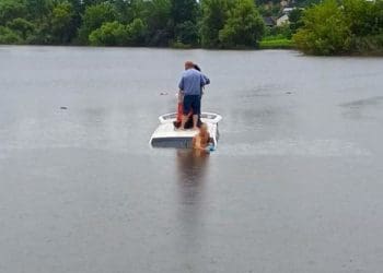 На Тернопільщині бус з людьми злетів з дороги і заїхав у ставок