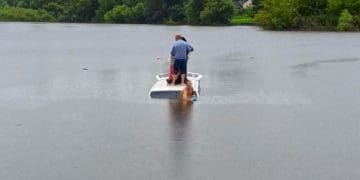 На Тернопільщині бус з людьми злетів з дороги і заїхав у ставок
