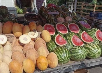Сезон кавунів та динь: які ціни на тернопільському ринку