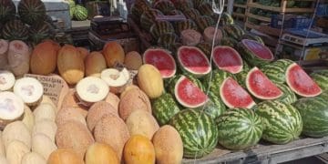 Сезон кавунів та динь: які ціни на тернопільському ринку