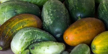 деформація огірків