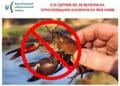 З 5 серпня по 20 вересня на Тернопільщині заборонено ловити раків
