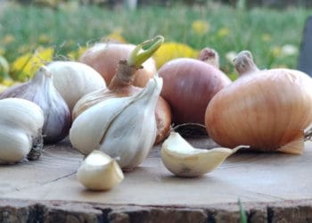 зберігання цибулі та часнику