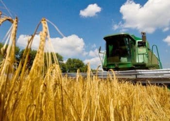 збір урожаю