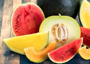 готовність кавунів та динь