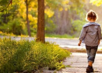 користь піших прогулянок