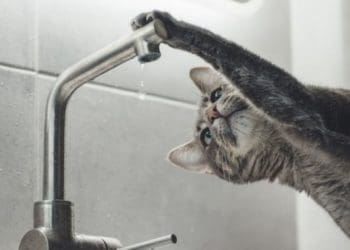 не буде води