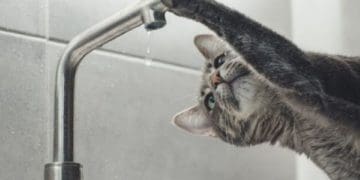 не буде води