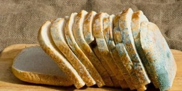 На Тернопільщині через цвілий хліб виник скандал між священником та зоозахисниками